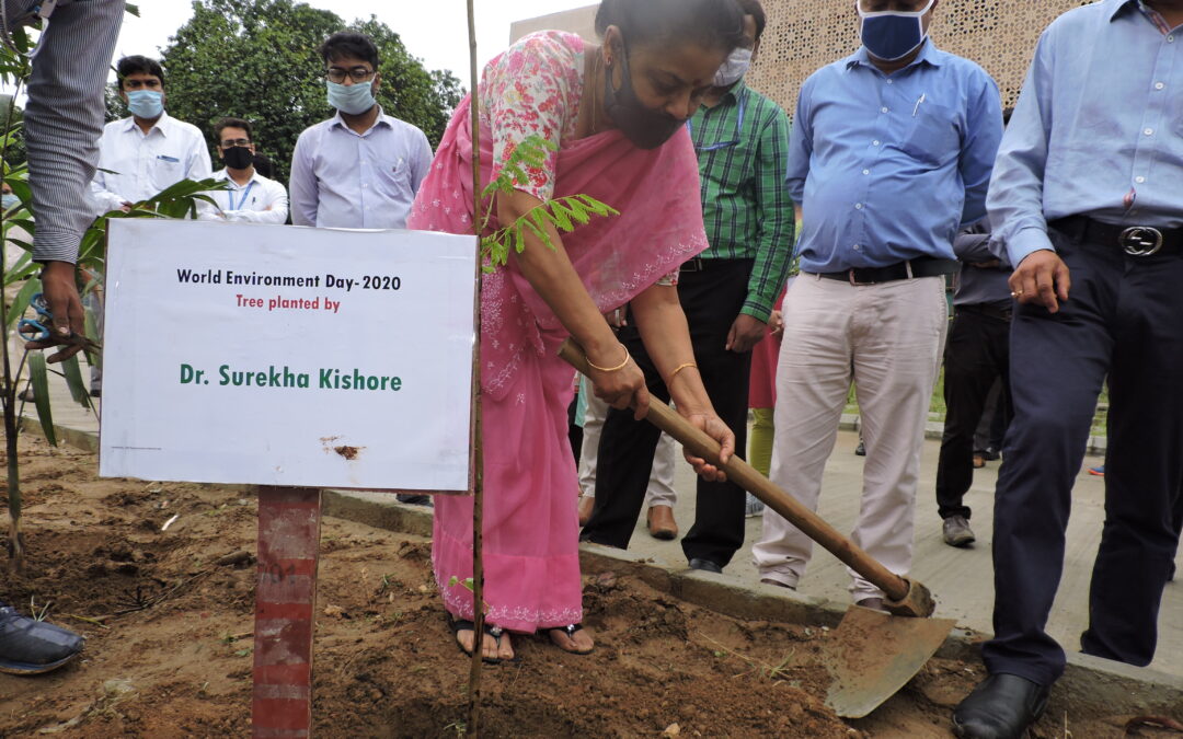 Tree Plantation drive – 4th July & 5th June