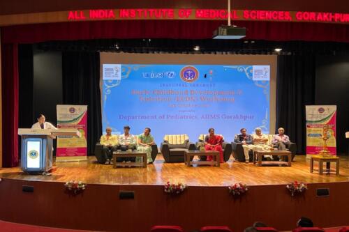 A workshop on early childhood development and nutrition