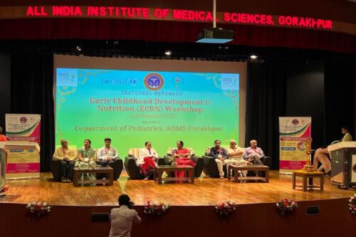 A workshop on early childhood development and nutrition