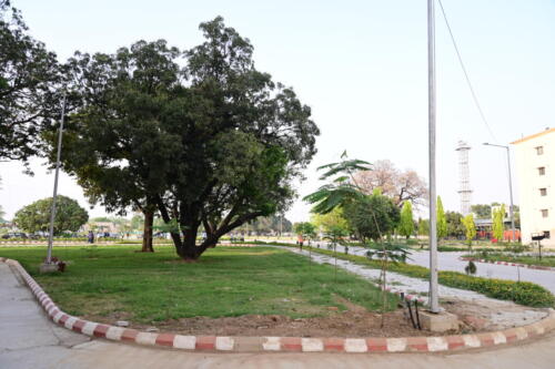 9 (1) (1) (1) (1) (1)