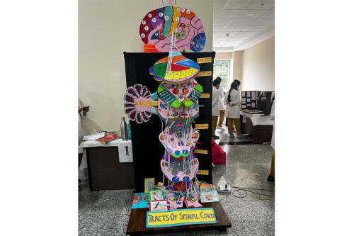 Intercollegiate-Debate-and-Model-Competition